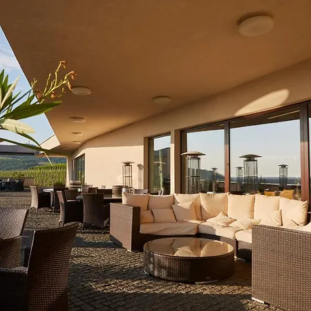 Henye Vendeghaz Hotel *