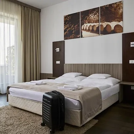 Henye Vendeghaz Hotel Bodrogkeresztur