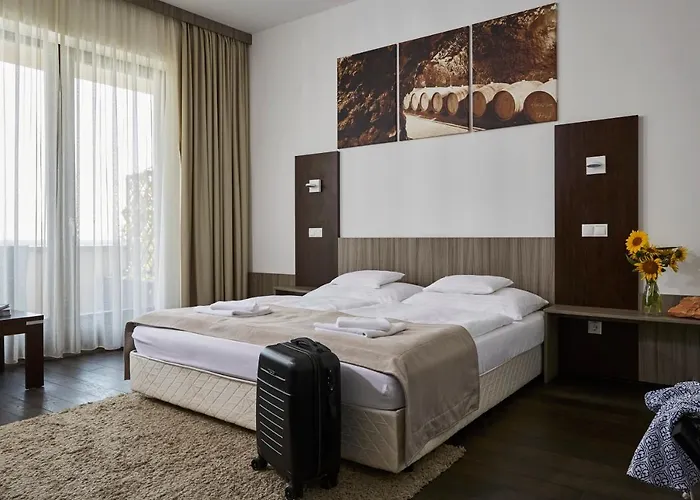 Henye Vendeghaz Hotel Bodrogkeresztur
