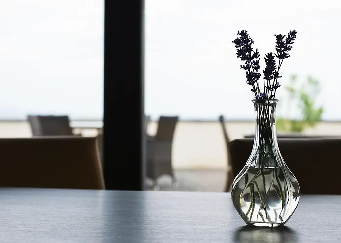 Henye Vendeghaz Hotel Bodrogkeresztur