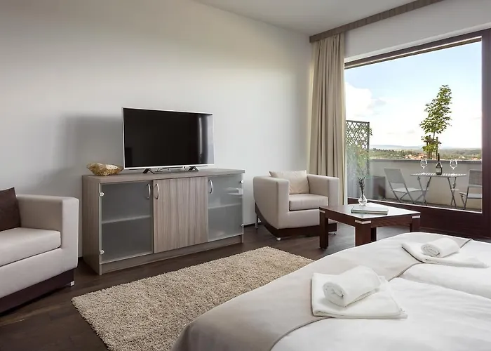 Hotel Henye Vendeghaz *